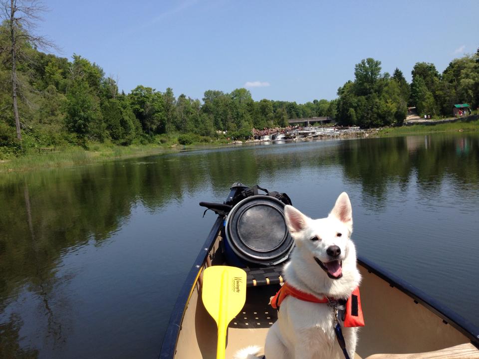 10552617_10154412282090024_3149485307022690446_n